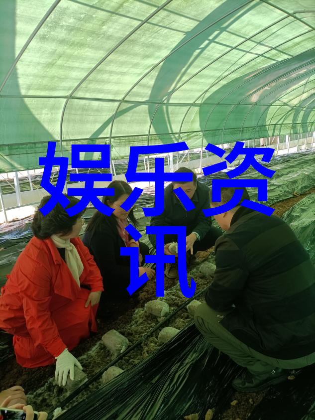 网红雪梨怎么火的我是如何成为网络红人雪梨的从零到英雄的故事