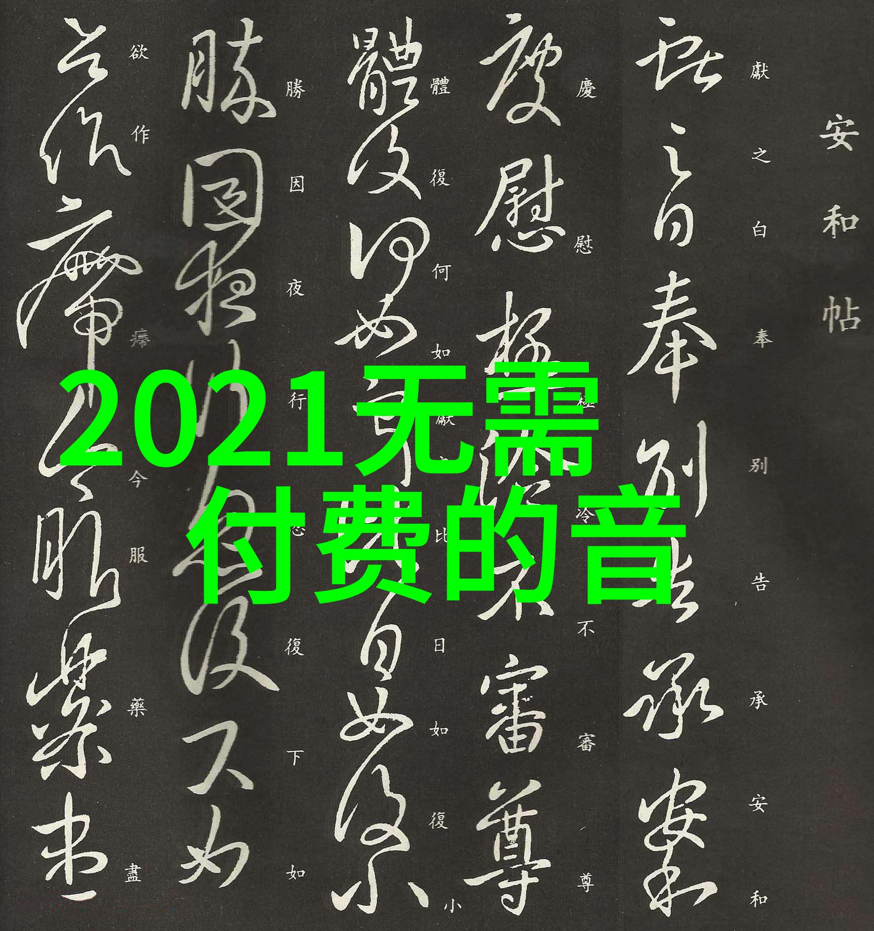 背景与光影提升个人写真画面的秘诀