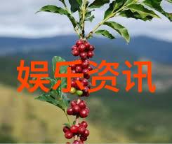 台湾观众看大陆电视剧的热潮台湾人对中国内地电视剧的接受度