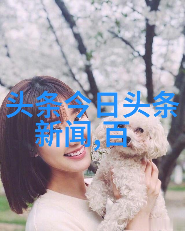 老歌经典500首回忆里的旋律我最爱的那些老歌