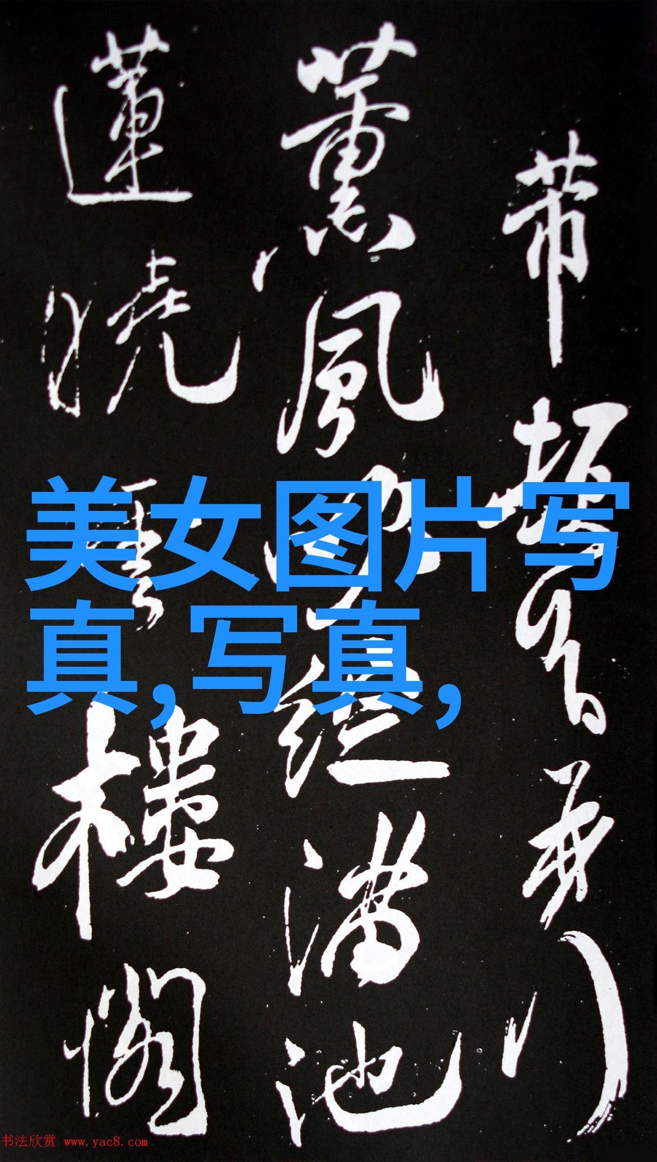 综艺娱乐八卦星光闪耀明星私密话题与红毯盛典