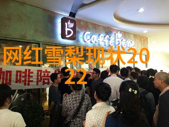 台湾现状探析从政治分歧到经济复苏的两岸关系新格局