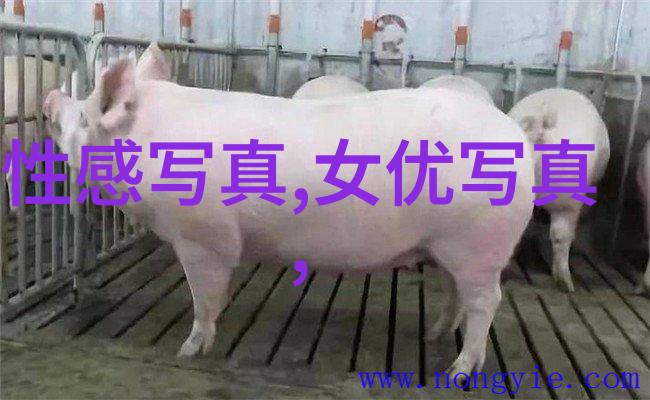 深度分析古书籍易经的复杂性让谁难以企及