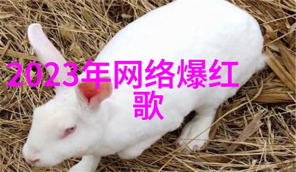 网红新贵的海滩日记捕捉湾湾blase时尚瞬间
