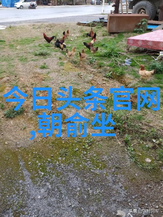 金瓶梅花间传说