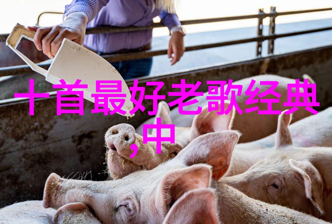 如何通过对比不同类型电视剧中的亲密搭档角色来理解这个概念的多样性