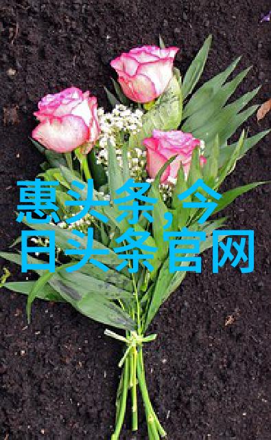 娱乐新闻热点最新影视剧播出音乐节精彩瞬间