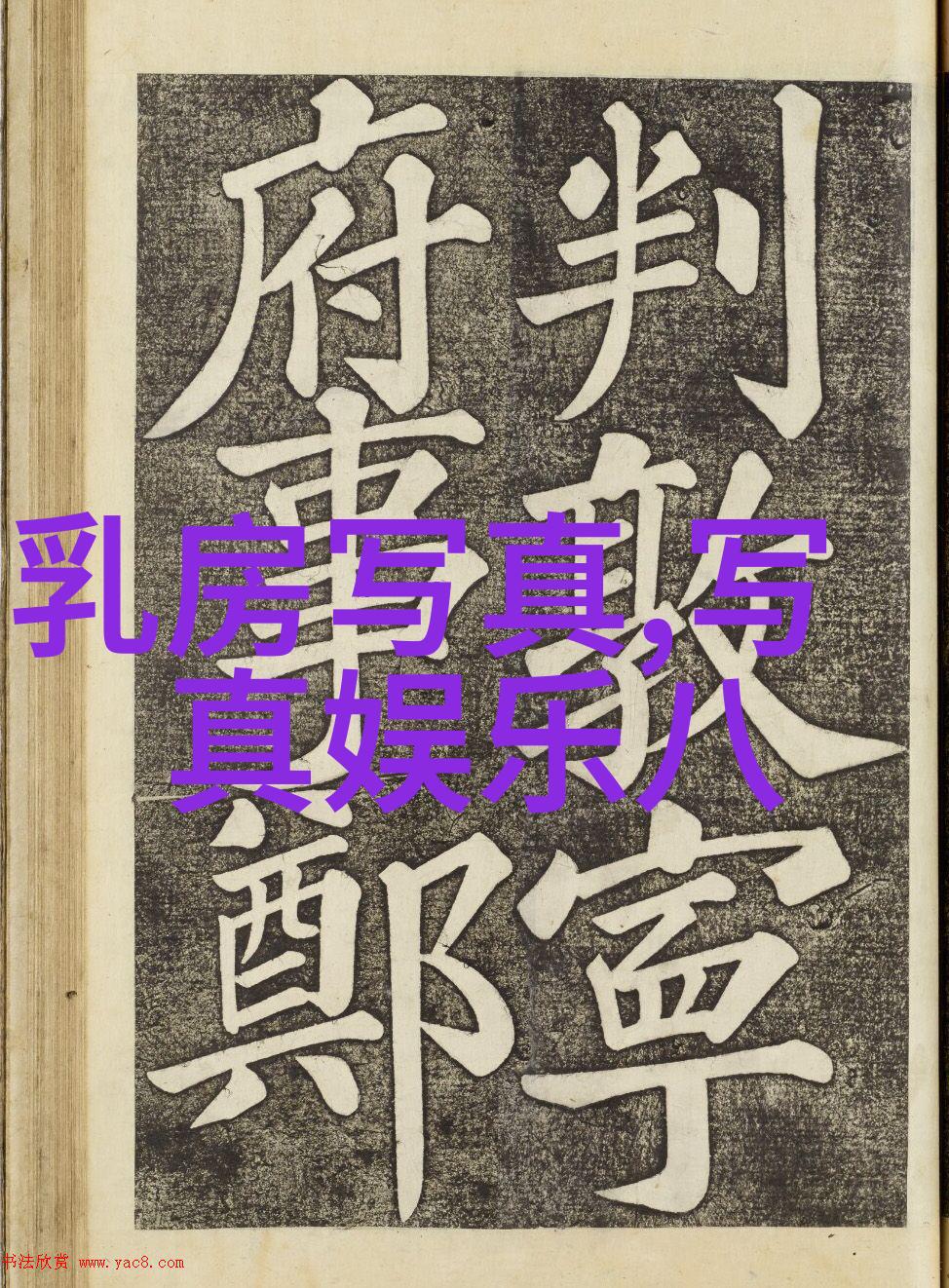 八卦方位五行属性解析天地人和四象八字的智慧探究