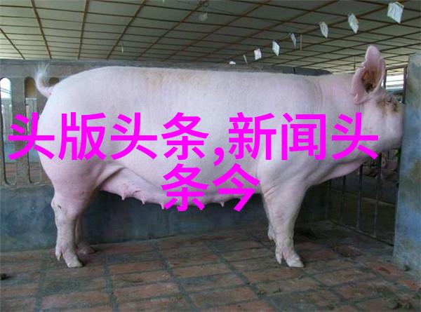 K-POP星光闪耀J-POP梦想永燃日韩娱乐盛宴