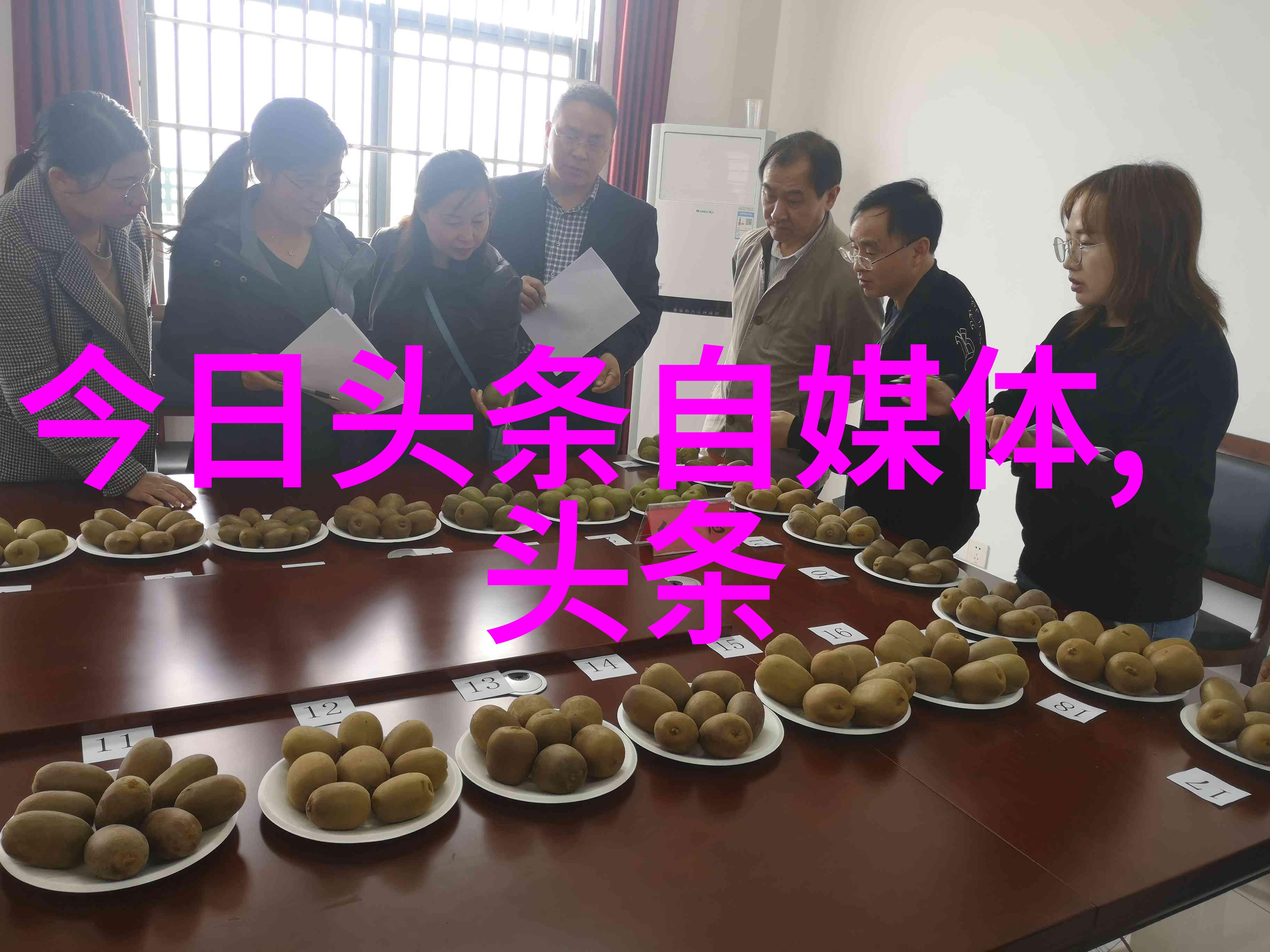 探索大地的美妙自然风光摄影的艺术与魅力