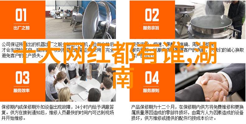 虚拟世界里的快乐逃避娱乐小说的魅力与影响