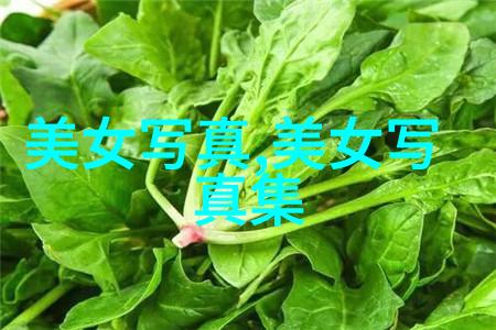 穿越古典暗渡郑二的免费阅读之谜