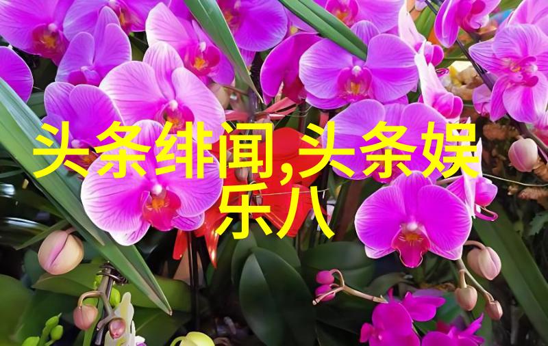 百度智能识别图片技术高效的图像分析与自动标签生成