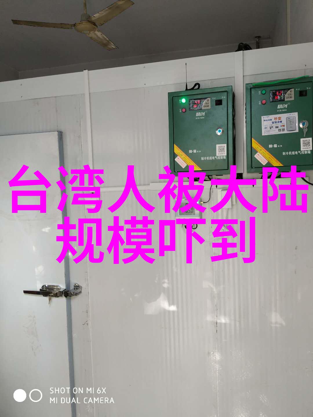 网红雪梨办了婚礼吗我是不是忘了网红雪梨今天要走进人生新篇章啦