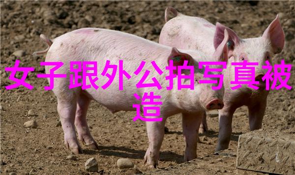 梁文音副驾驶座的风景巡演引领50部经典电视剧走进社会大舞台澳门百合汇华丽亮相