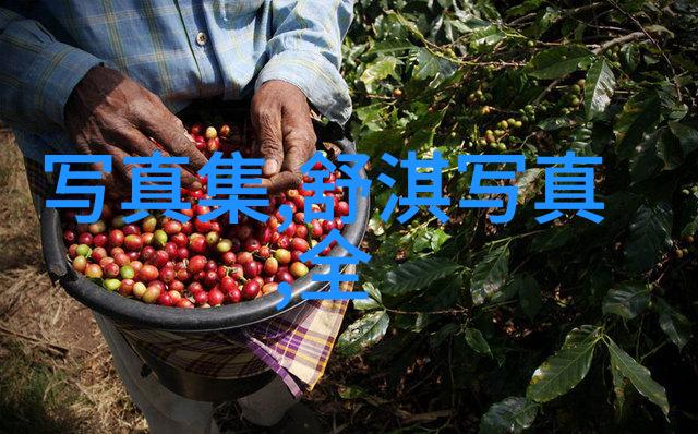 春日女装搭配指南轻盈花朵与温柔风格