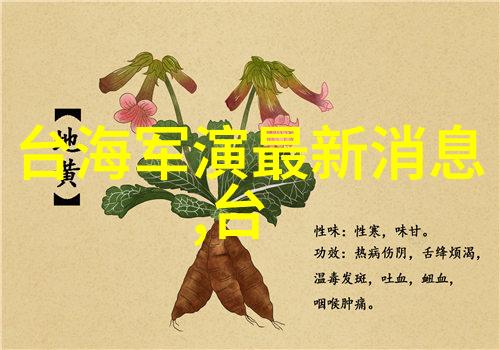 媚者无疆电视剧中女性性格塑造与社会角色转换的分析
