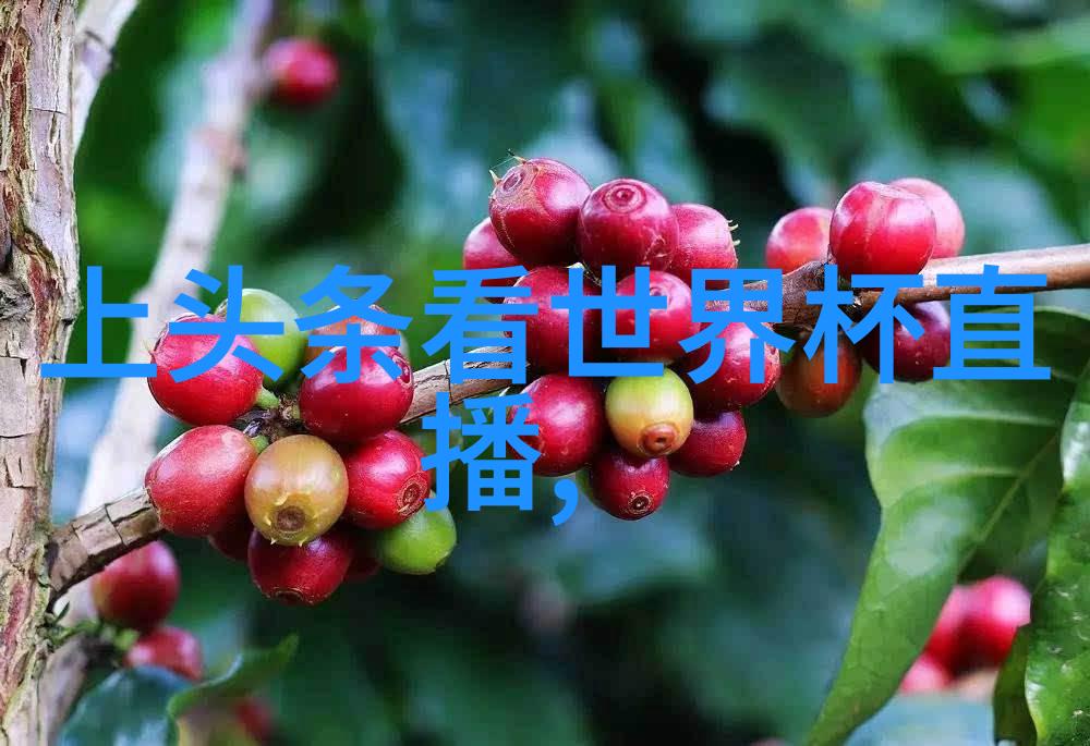 台湾现在最新情况最新消息 - 风雨无阻台湾抗疫新动态与经济复苏展望