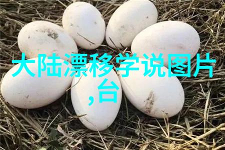 写真拍摄我来教你怎么拍出超美的照片
