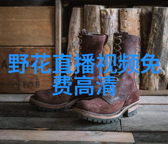 八卦五行属性我这不就是个天才吗