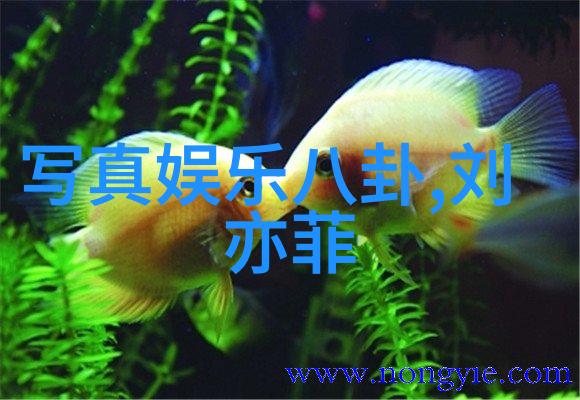 跨海情缘探索台湾与大陆关系的复杂性