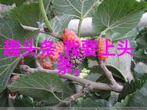超越时空的联系跨国合作下的国际视角电视剧