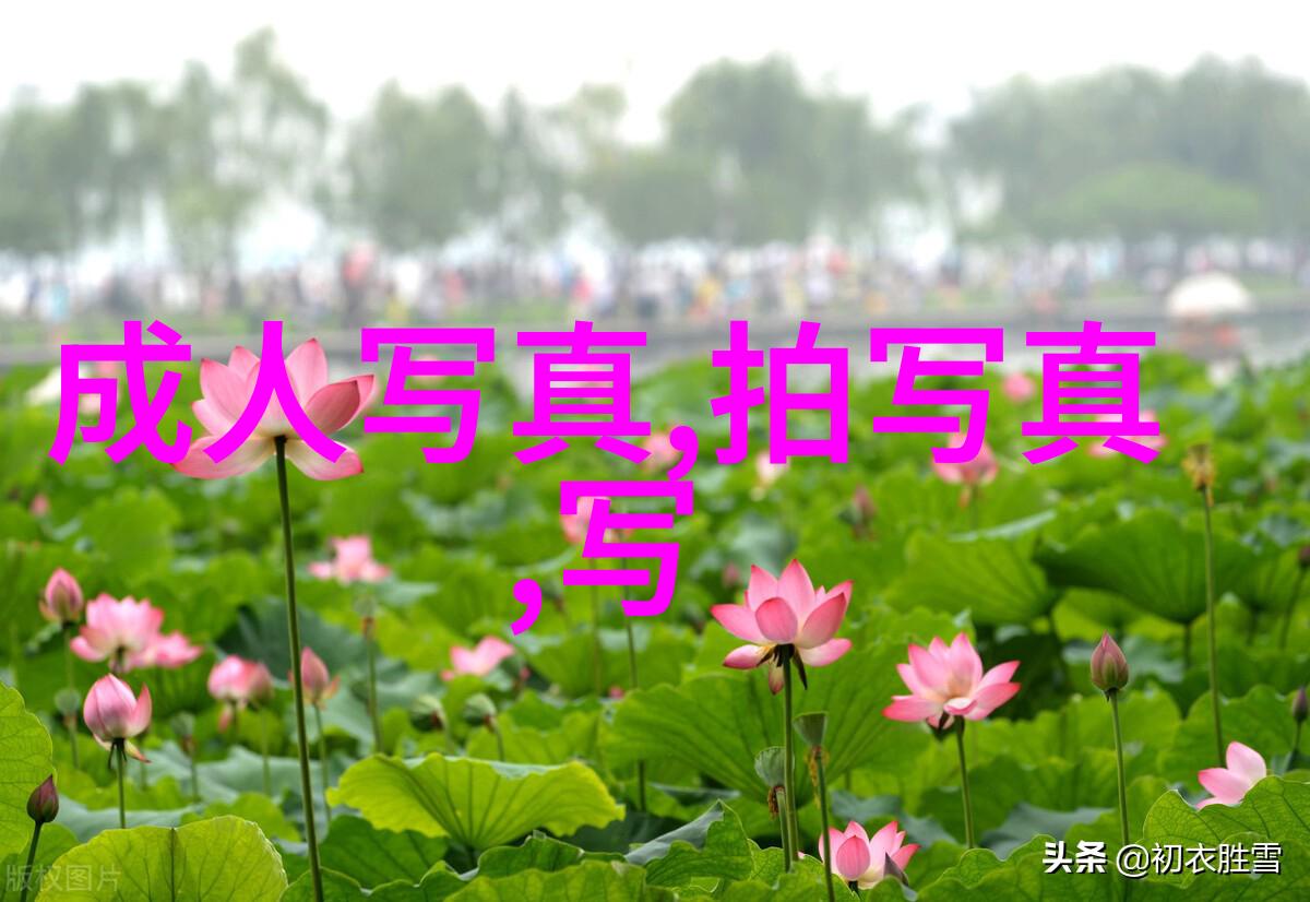 表妹的逆袭夜莺最后遭遇了怎样的命运