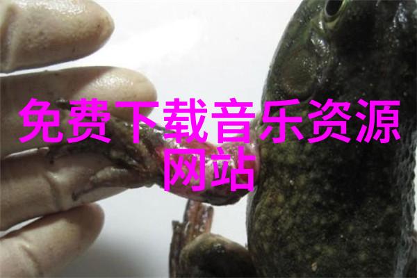 综艺节目排行榜最火的特殊约会刘宪华陈都灵携手李茂弦子穿越时光重现乱世佳人落泪瞬间