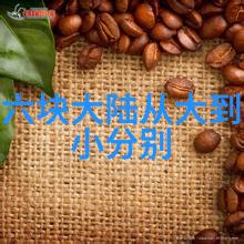 豆瓣电影-豆瓣影坛用户评论引领的电影文化潮流