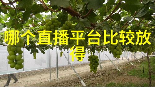 今日头条探索下载安装秘籍