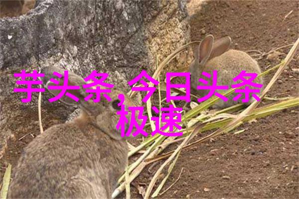 情感剧透燃情密码 电视剧爱的秘密编码