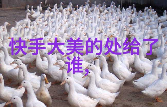 探秘左耳电视剧背后的文化符号与深层寓意