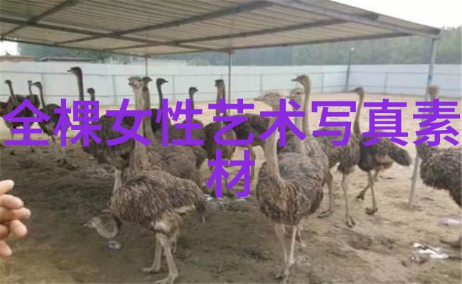 5144一个奇数的魅力