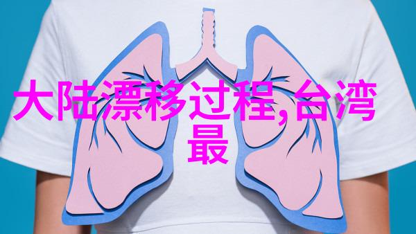 抖音平台上的明星影响者前十名网红的闪耀之光