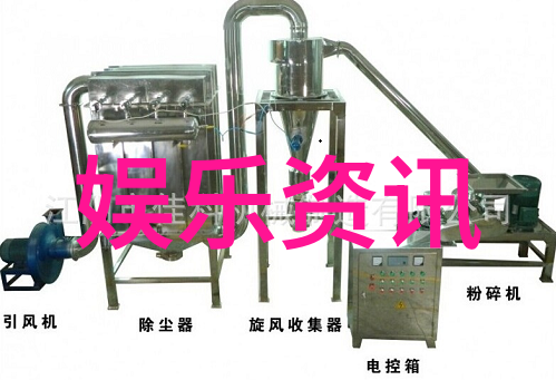 影片中的反思与启示消失的她的深层意义