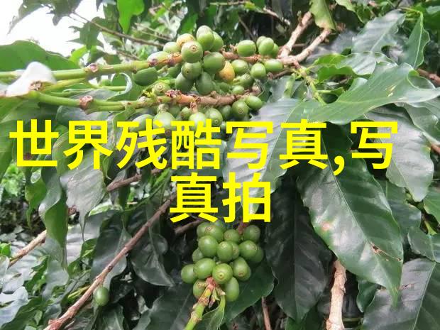 在青苹果乐园的幕后电视剧如何捕捉影视制作的真实一面