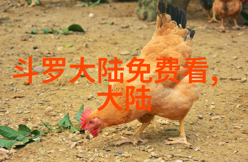探索大陆的秘密世界上有几个大陆