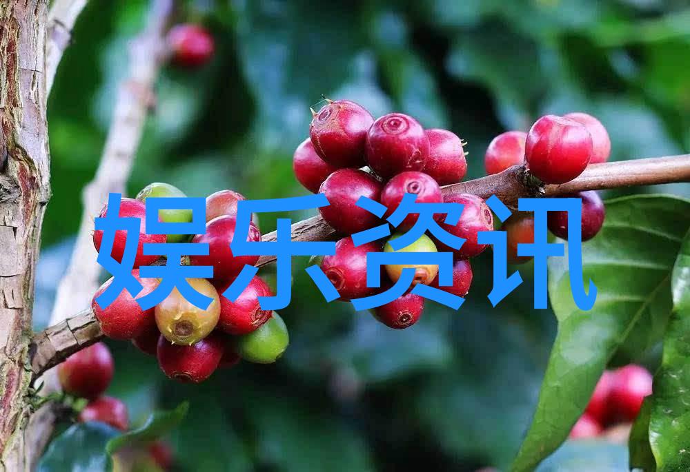 红毯上的秘密花开2021年迪丽热巴的恋情揭秘