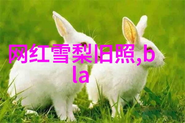 对于台湾来说维持现状还是寻求更大的自主权更重要