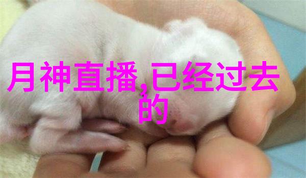 重庆隧道中的末路