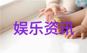 智能图片识别技术革新从图像到信息的精准转换