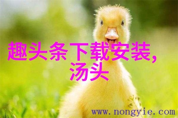 网上音乐盛宴全网MP3免费下载的秘密花园