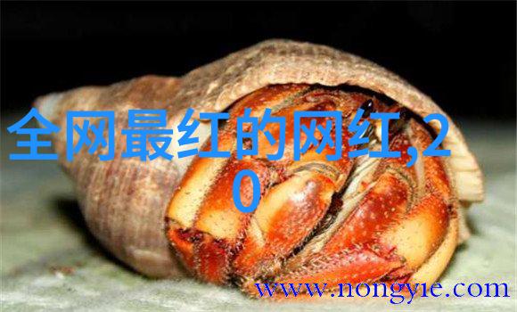世界上分为几个大陆探索地球的多样性与连结