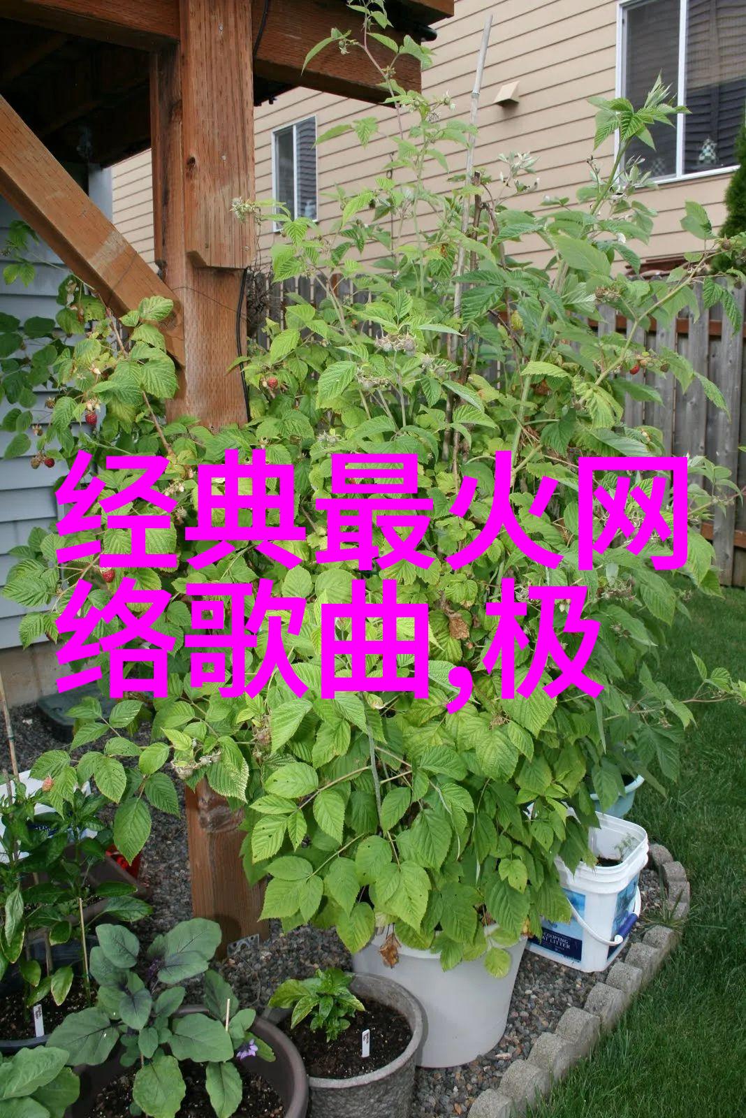 欲罢不能综艺青年派计划开播李浩宇初舞台首唱全新单曲街子旋律悠扬声情并茂