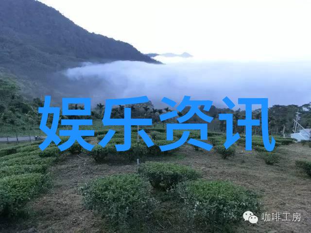 台湾疫情防控措施调整引发公众讨论