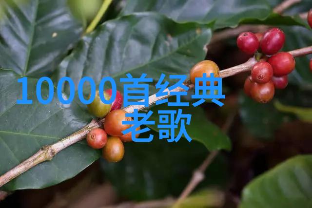 江添的泪点一篇关于盛望被捅的故事