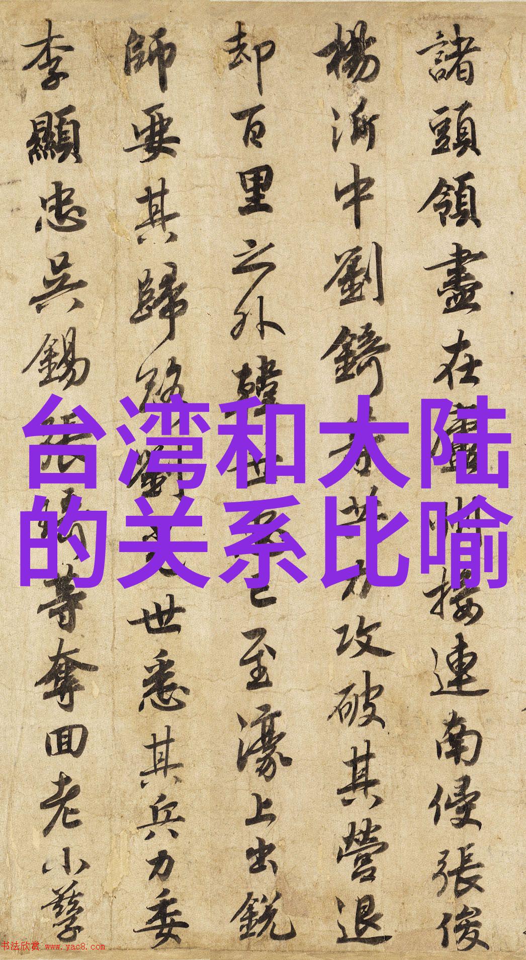 主题我和少女写真的故事从摄影机前到画廊里的回忆