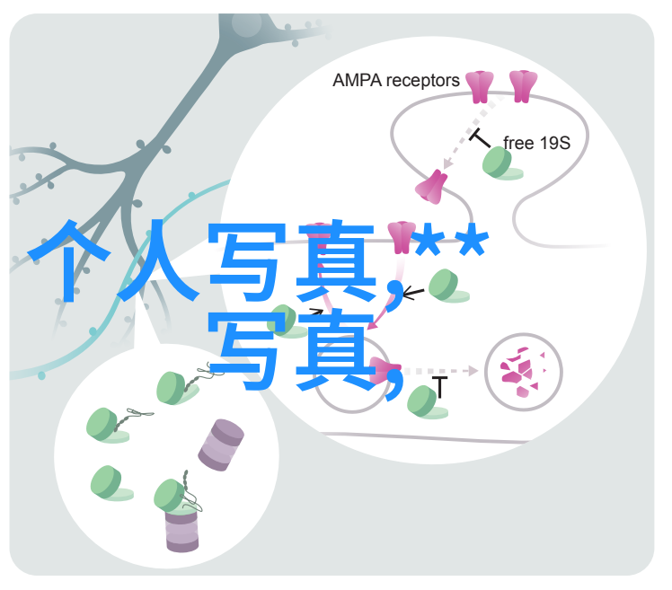 今日头条极速版-轻松体验新闻快报如何快速下载并设置今日头条极速版