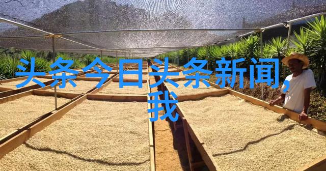探究我的蠢萌老公电视剧中的角色动态与观众情感共鸣机制