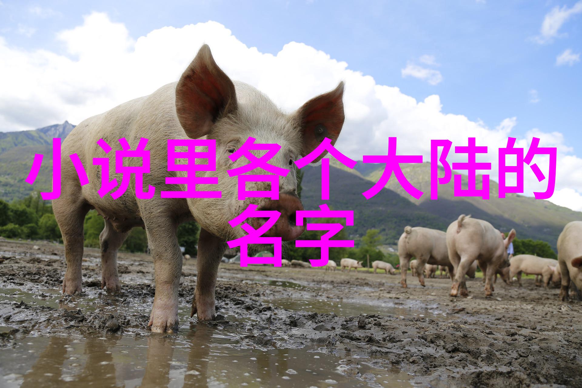 时间的礼赞为什么我们仍旧沉迷于老歌100首中的经典之作